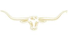 Longhorn Decals