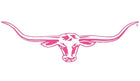 Longhorn Decals