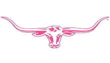 Longhorn Decals