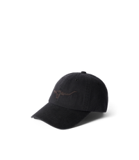 Longhorn Twill Cap - Black Wash