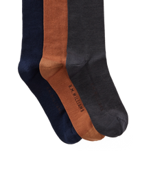 Longhorn Sock 3 Pack