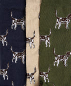 Pointer Dog Socks Gift Box