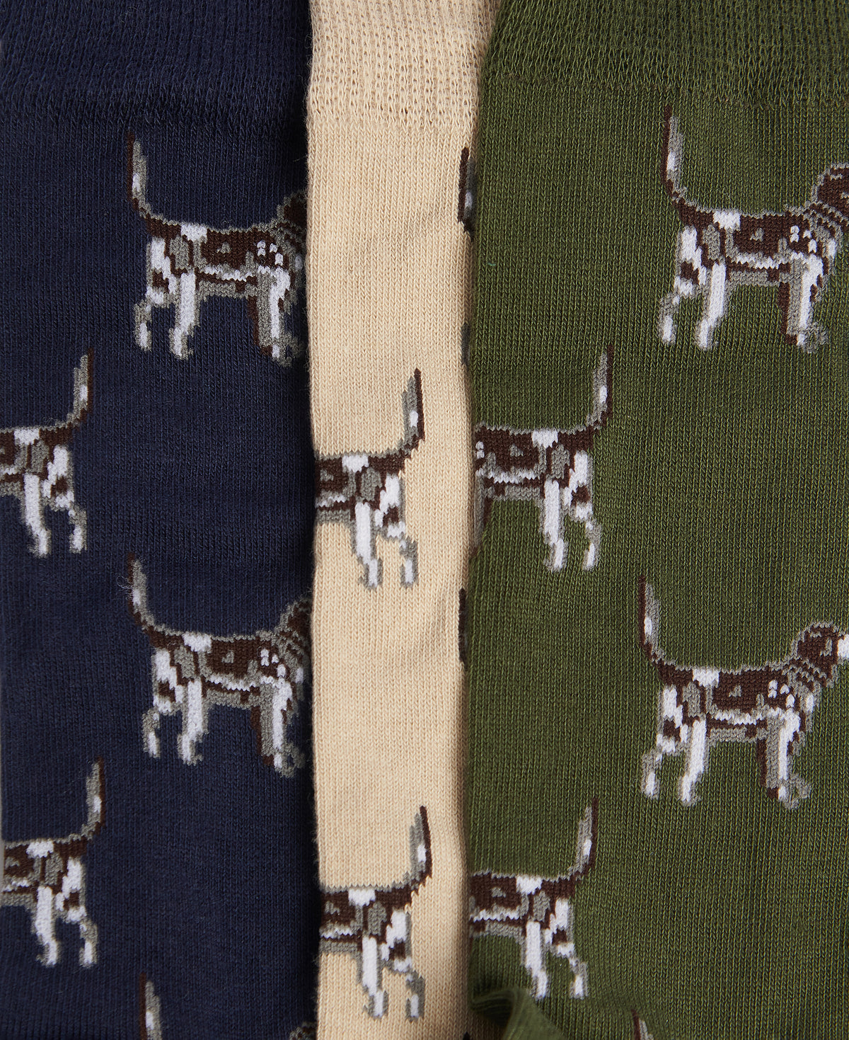 Pointer Dog Socks Gift Box