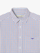 Collins Button Down Shirt - Navy/Burg/White