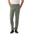 Berwick Chino