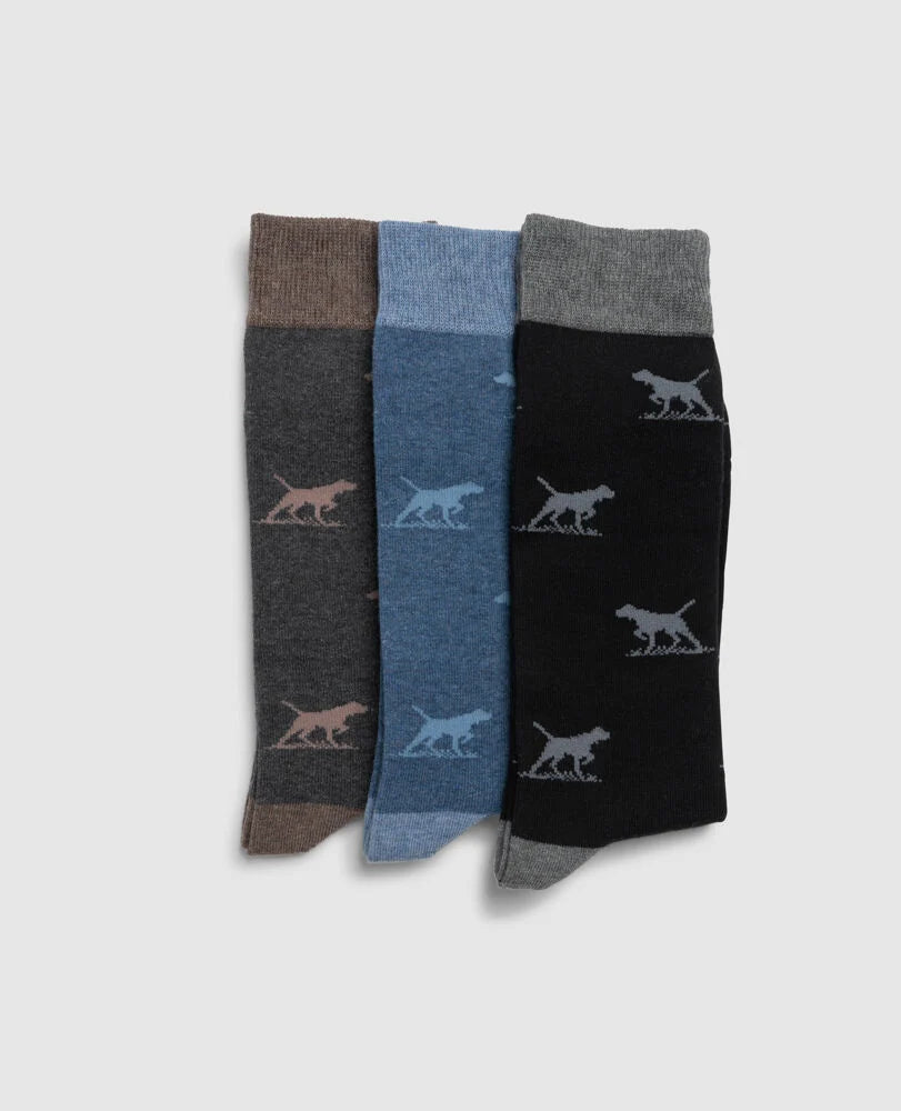 Rodd & Gunn Dogs-A-Plenty Three Pack Socks - Biz Multi