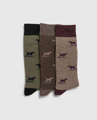 Dogs-A-Plenty Three Pack Socks - Earth Multi