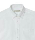 Collins Oxford Shirt